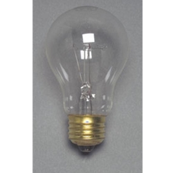 Replacement Incandescent Bulb, 120V AC